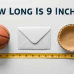 how long is 9 inches